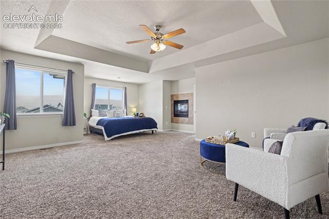 MLS Image for 6598  Alliance  ,Colorado Springs, Colorado