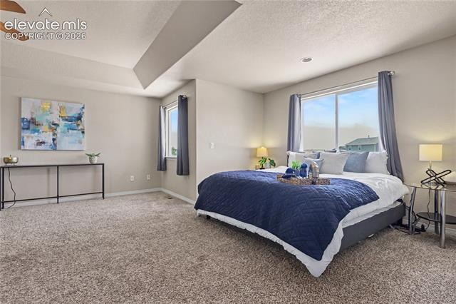 MLS Image for 6598  Alliance  ,Colorado Springs, Colorado