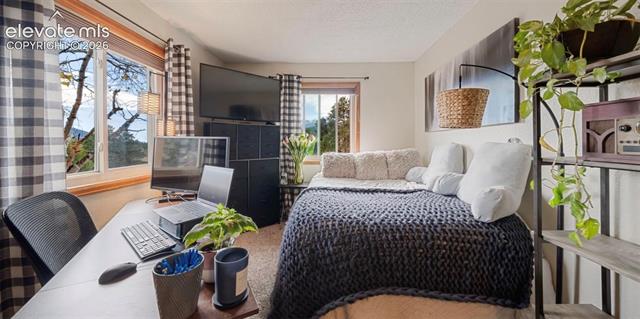 MLS Image for 410  Hillcrest  ,Woodland Park, Colorado