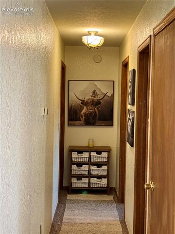 MLS Image for 410  Hillcrest  ,Woodland Park, Colorado