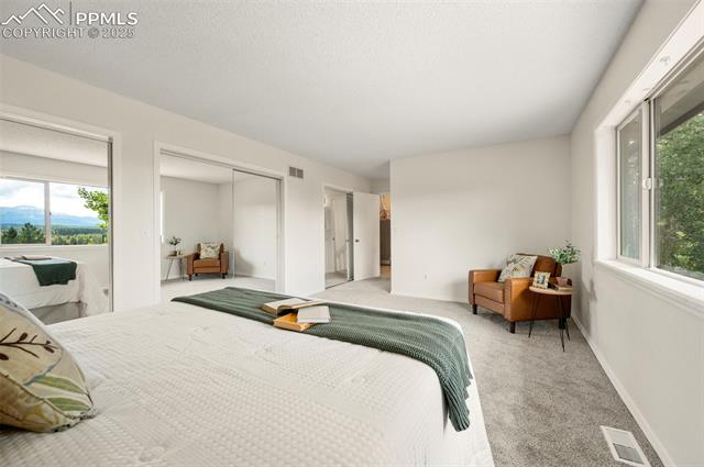 MLS Image for 4710  Wildhorn  ,Florissant, Colorado