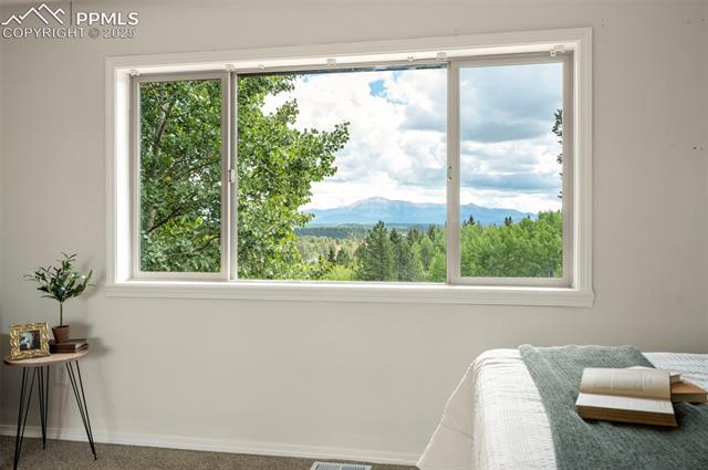 MLS Image for 4710  Wildhorn  ,Florissant, Colorado
