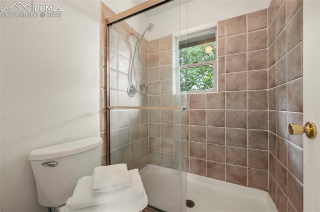 MLS Image for 4710  Wildhorn  ,Florissant, Colorado