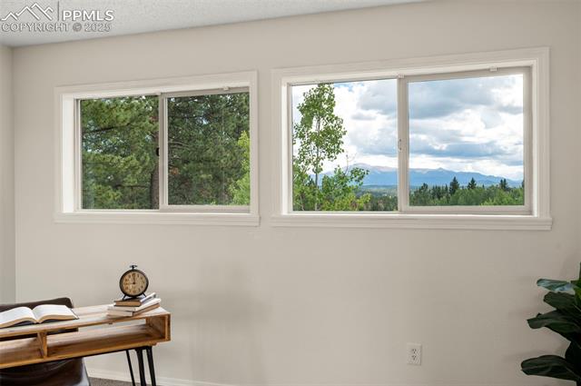 MLS Image for 4710  Wildhorn  ,Florissant, Colorado