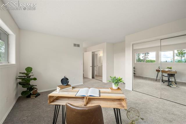 MLS Image for 4710  Wildhorn  ,Florissant, Colorado