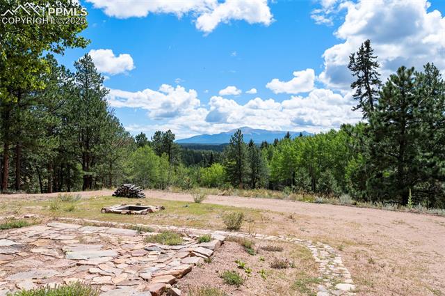 MLS Image for 4710  Wildhorn  ,Florissant, Colorado