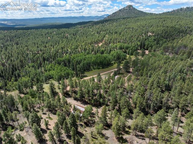 MLS Image for 4710  Wildhorn  ,Florissant, Colorado