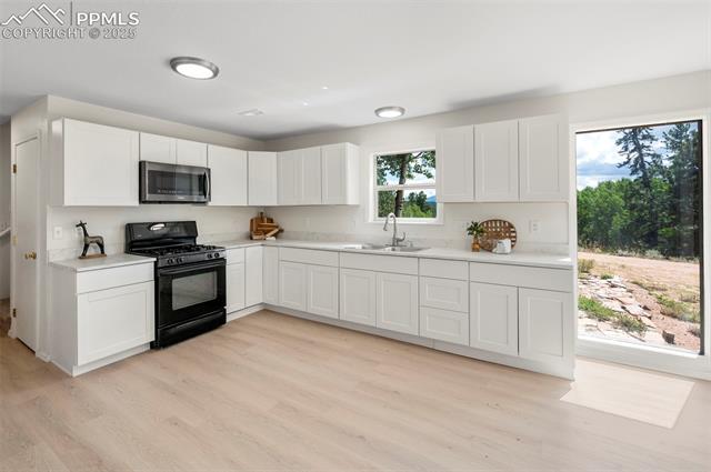 MLS Image for 4710  Wildhorn  ,Florissant, Colorado