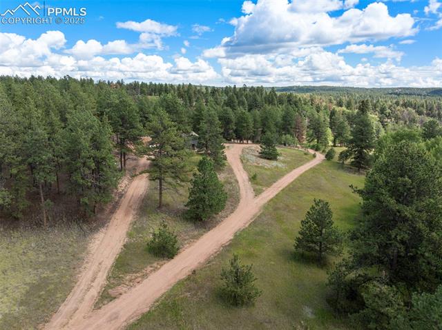 MLS Image for 4710  Wildhorn  ,Florissant, Colorado