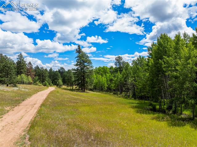MLS Image for 4710  Wildhorn  ,Florissant, Colorado
