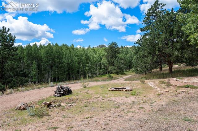 MLS Image for 4710  Wildhorn  ,Florissant, Colorado
