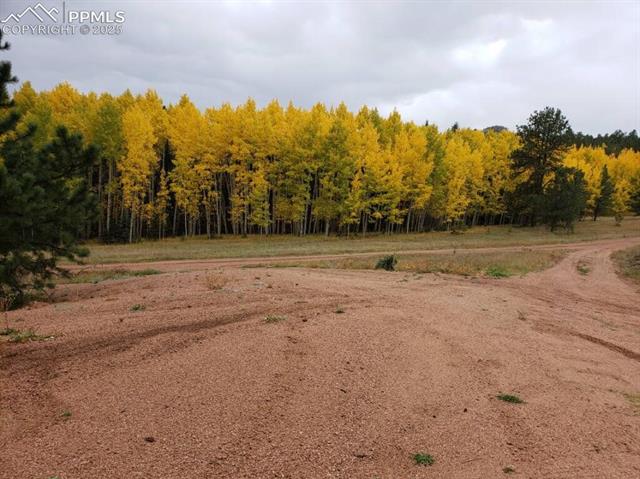 MLS Image for 4710  Wildhorn  ,Florissant, Colorado