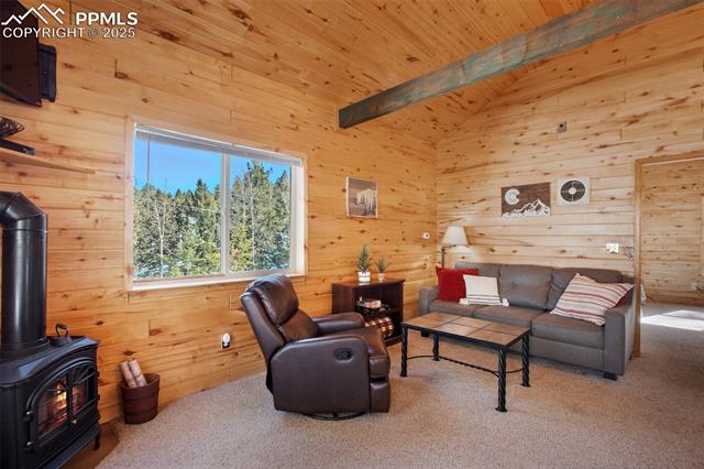 MLS Image for 526  Wakanda  ,Woodland Park, Colorado