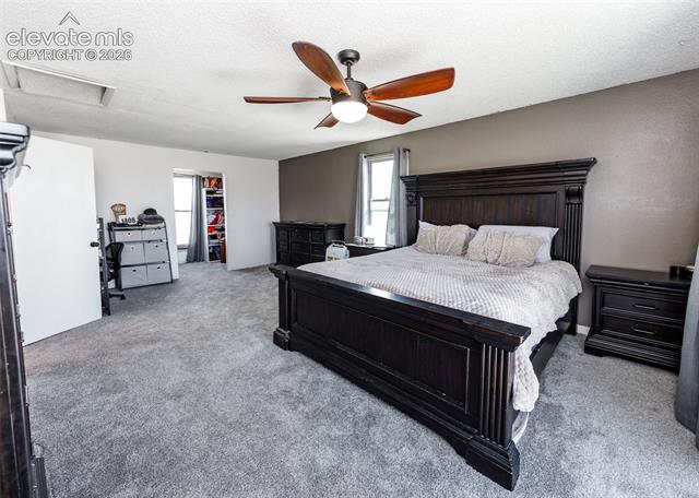 MLS Image for 3830  Hemmingway  ,Colorado Springs, Colorado