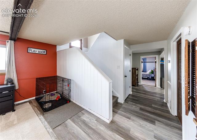 MLS Image for 3830  Hemmingway  ,Colorado Springs, Colorado