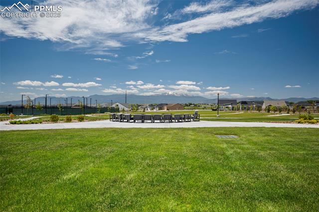 MLS Image for 5968  Haster  ,Colorado Springs, Colorado