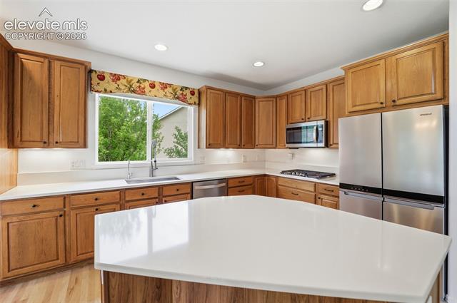 MLS Image for 20247  Melanie Ann  ,Monument, Colorado