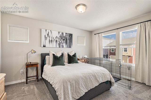 MLS Image for 2940  Magic Carpet  ,Colorado Springs, Colorado