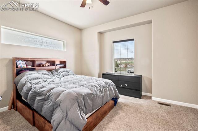 MLS Image for 6153  Radiant Sky  ,Colorado Springs, Colorado