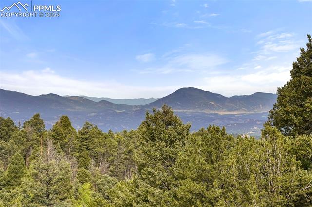 MLS Image for 436  Saguache  ,Florissant, Colorado