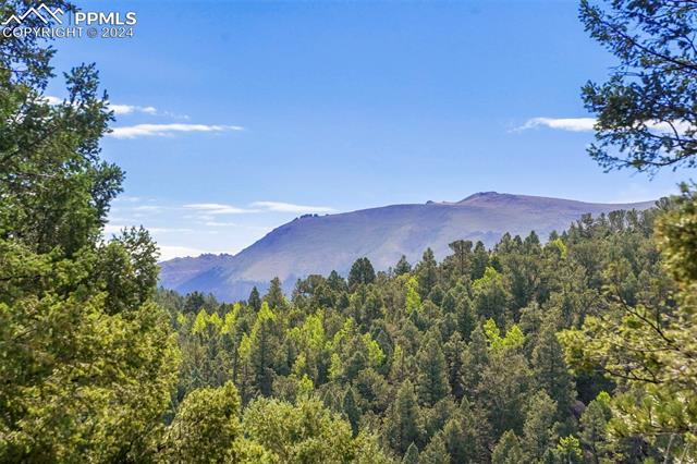 MLS Image for 436  Saguache  ,Florissant, Colorado