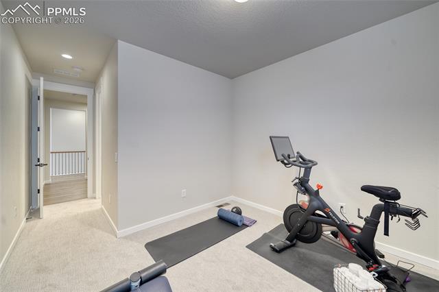 MLS Image for 10059  Owl Perch  ,Colorado Springs, Colorado