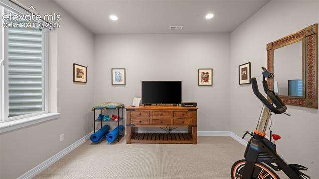 MLS Image for 10355  Rifle Falls  ,Colorado Springs, Colorado