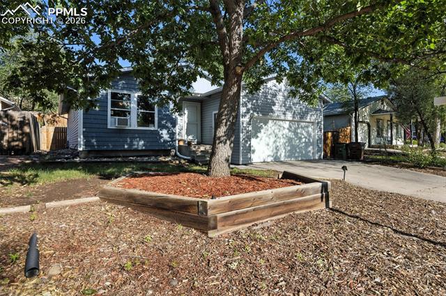 MLS Image for 972  Columbine  ,Colorado Springs, Colorado