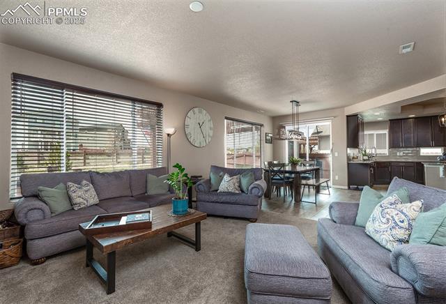 MLS Image for 9652  Emerald Vista  ,Peyton, Colorado