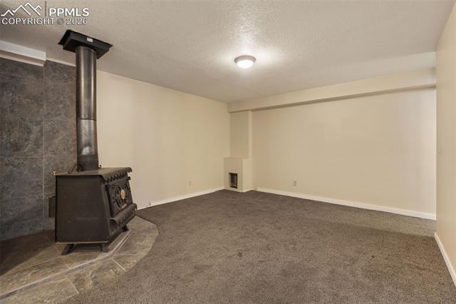 MLS Image for 487  Maroon Lake  ,Divide, Colorado