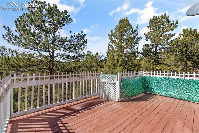 MLS Image for 487  Maroon Lake  ,Divide, Colorado