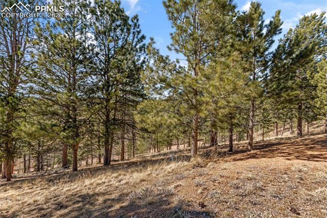 MLS Image for 487  Maroon Lake  ,Divide, Colorado