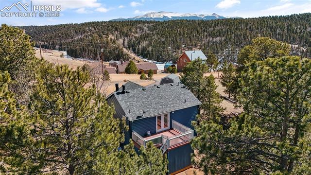 MLS Image for 487  Maroon Lake  ,Divide, Colorado