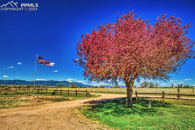 MLS Image for 12790  Gould  ,Fountain, Colorado