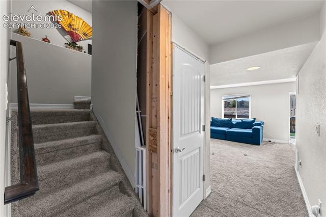 MLS Image for 6126  Jorie  ,Colorado Springs, Colorado