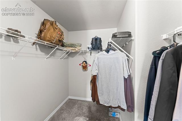 MLS Image for 6126  Jorie  ,Colorado Springs, Colorado