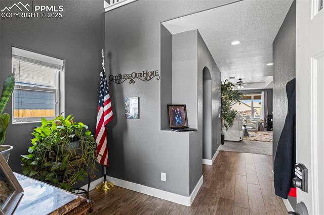 MLS Image for 7656  Peachleaf  ,Colorado Springs, Colorado