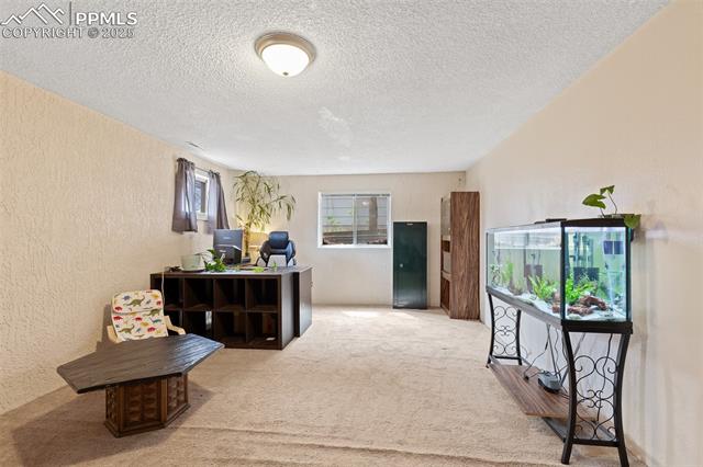 MLS Image for 4652 N Sleepy Hollow  ,Colorado Springs, Colorado