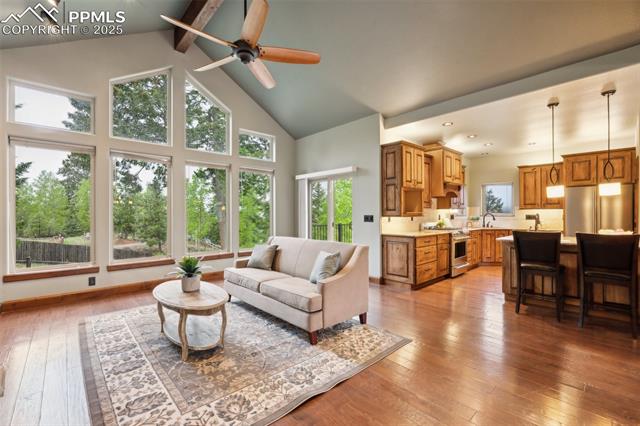 MLS Image for 491  Skyline  ,Woodland Park, Colorado