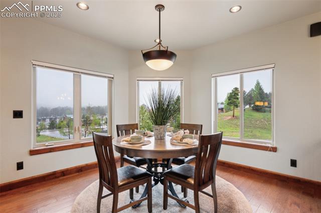 MLS Image for 491  Skyline  ,Woodland Park, Colorado