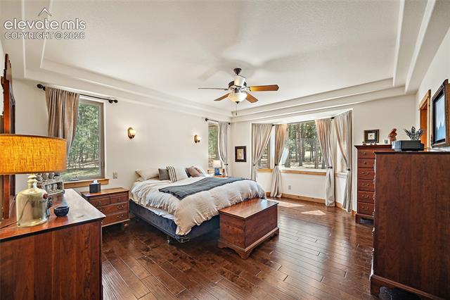 MLS Image for 4235  Slash Pine  ,Colorado Springs, Colorado