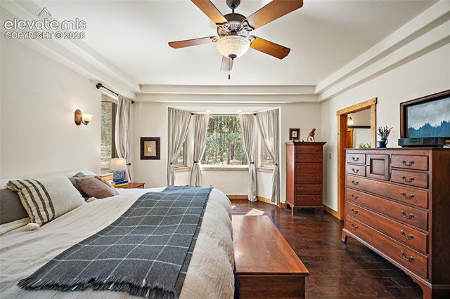 MLS Image for 4235  Slash Pine  ,Colorado Springs, Colorado