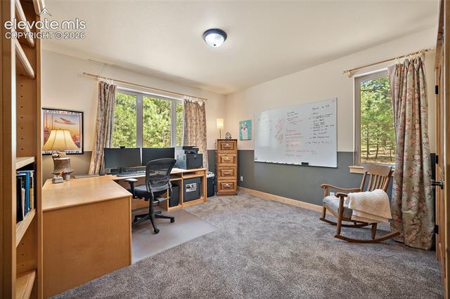MLS Image for 4235  Slash Pine  ,Colorado Springs, Colorado