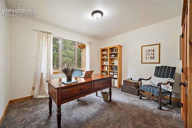 MLS Image for 4235  Slash Pine  ,Colorado Springs, Colorado