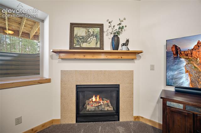 MLS Image for 4235  Slash Pine  ,Colorado Springs, Colorado