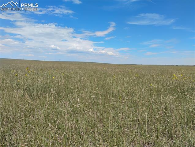 MLS Image for 19981  Cloudfield  ,Colorado Springs, Colorado