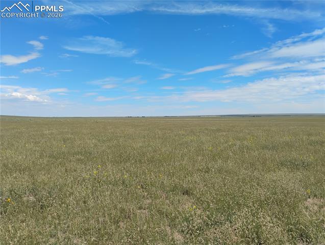 MLS Image for 19981  Cloudfield  ,Colorado Springs, Colorado