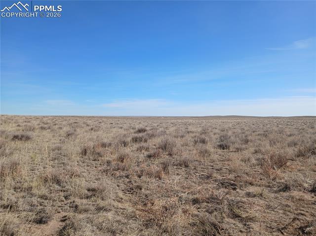 MLS Image for 19981  Cloudfield  ,Colorado Springs, Colorado