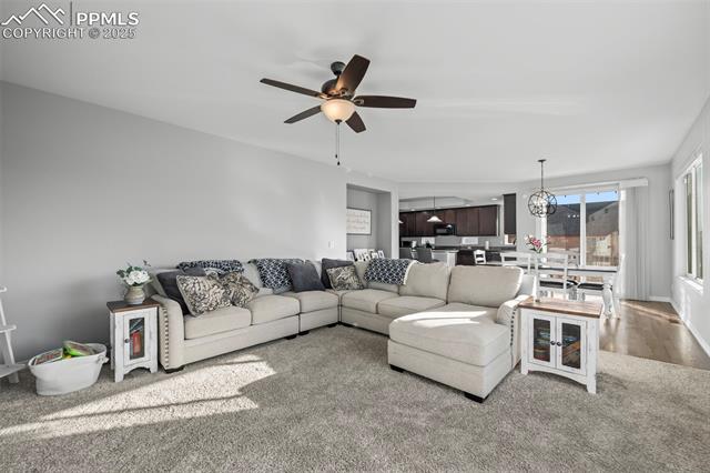 MLS Image for 7904  Hardwood  ,Colorado Springs, Colorado