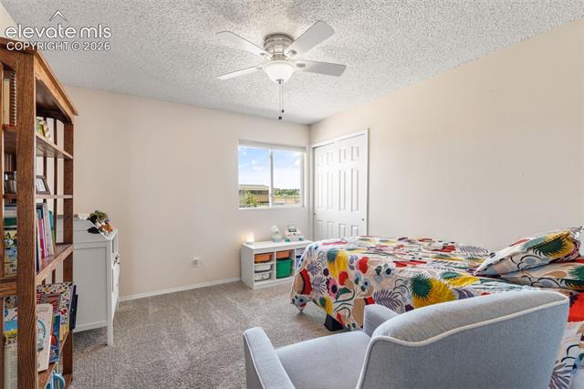 MLS Image for 8006  Cooper River  ,Colorado Springs, Colorado